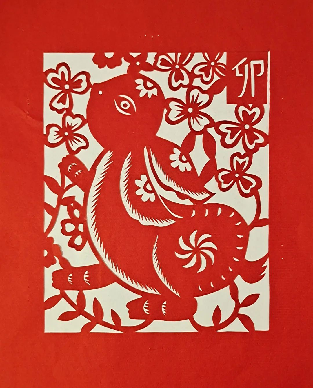 兔年说兔，兔有哪些美德？
