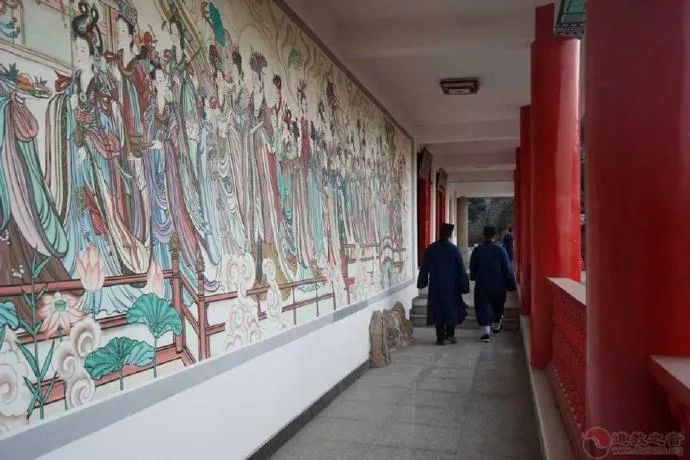 听说今年作文考了《齐物论》，让你讲讲对“不由自主”的理解…